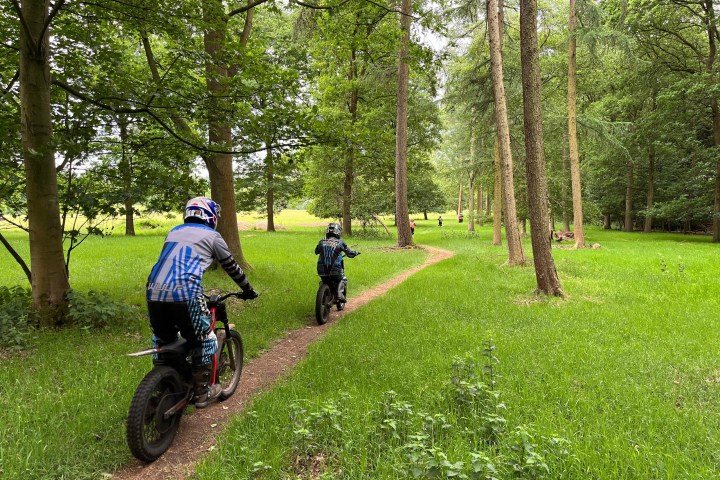 Two cyclists on a forest path surrounded by green trees and grass.